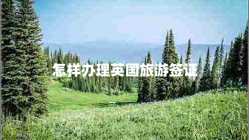 怎樣辦理英國旅游簽證