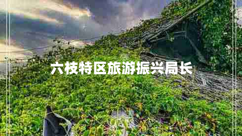 六枝特區旅游振興局長(cháng)