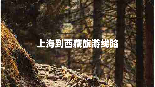 上海到西藏旅游線(xiàn)路