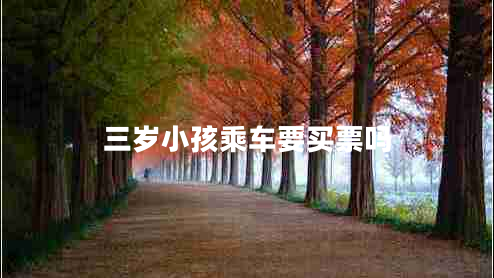 三歲小孩乘車(chē)要買(mǎi)票嗎