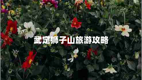 武定獅子山旅游攻略 武定獅子山旅游攻略