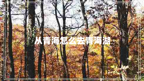 從青海怎么去青海湖