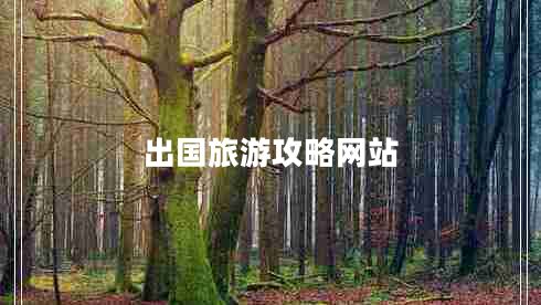出國旅游攻略網(wǎng)站