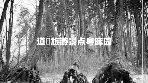 道滘旅游景點(diǎn)粵暉園