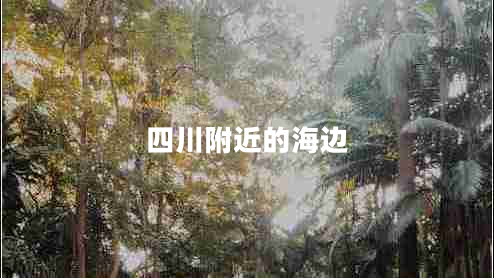 四川附近的海邊