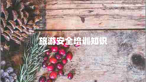 旅游安全培訓知識