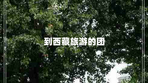 到西藏旅游的團