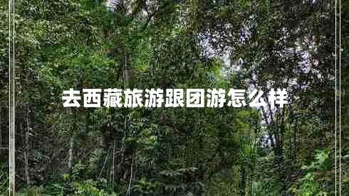 去西藏旅游跟團游怎么樣