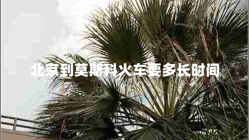 北京到莫斯科火車(chē)要多長(cháng)時(shí)間