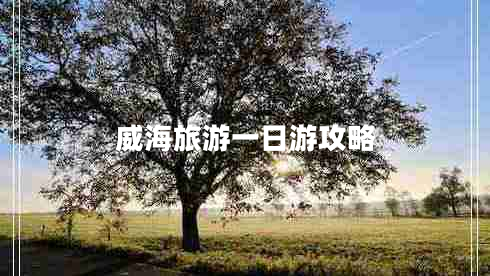 威海旅游一日游攻略