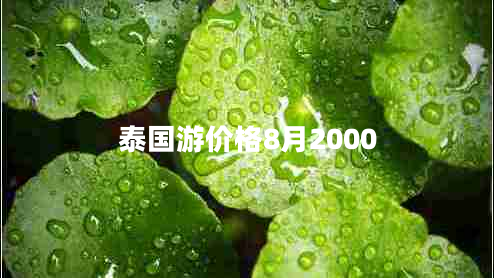 泰國游價(jià)格8月2000
