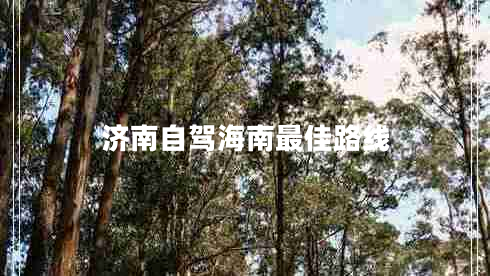 濟南自駕海南最佳路線(xiàn)