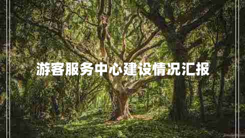 游客服務(wù)中心建設情況匯報