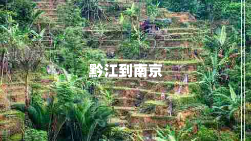 黔江到南京 黔江到南京