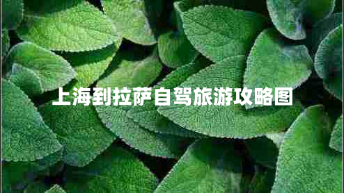 上海到拉薩自駕旅游攻略圖