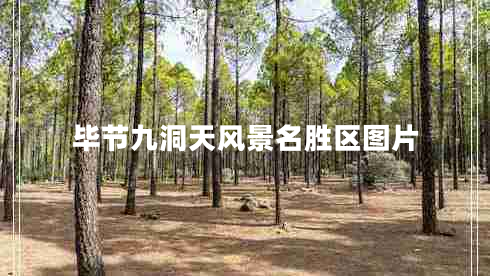 畢節九洞天風(fēng)景名勝區圖片 畢節九洞天風(fēng)景名勝區圖片