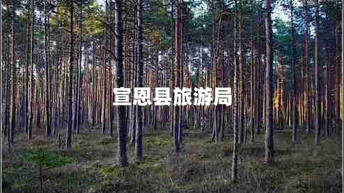 宣恩縣旅游局 宣恩縣旅游局