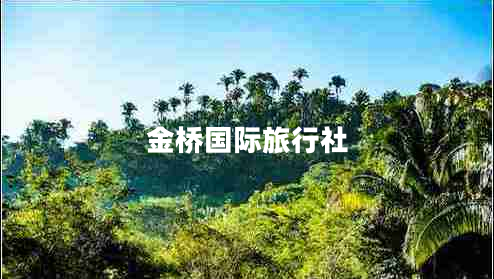 金橋國際旅行社