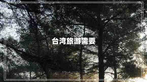 臺灣旅游需要