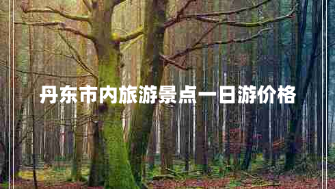 丹東市內旅游景點(diǎn)一日游價(jià)格