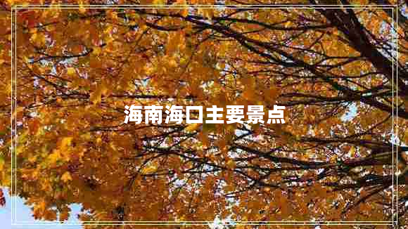 海南?？谥饕包c(diǎn)