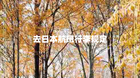 去日本航班行李規定