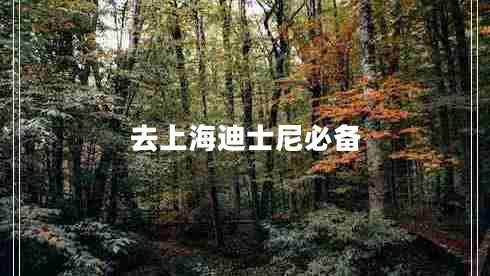 去上海迪士尼必備