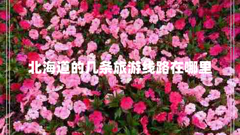 北海道的幾條旅游線(xiàn)路在哪里