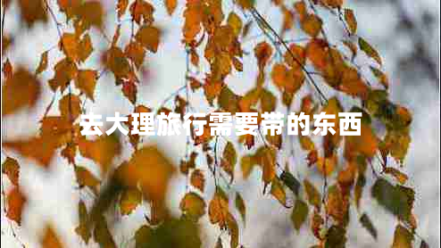 去大理旅行需要帶的東西