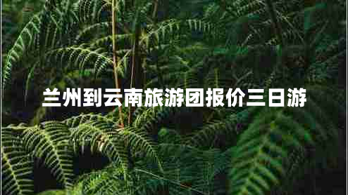 蘭州到云南旅游團報價(jià)三日游