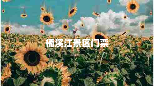 楠溪江景區門(mén)票