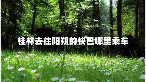 桂林去往陽(yáng)朔的快巴哪里乘車(chē)