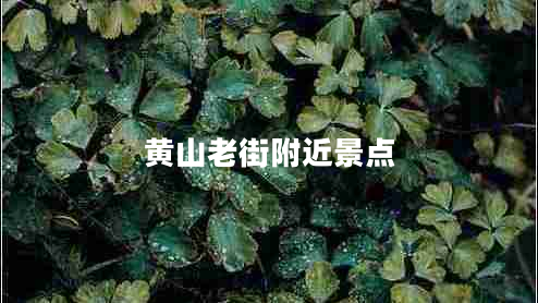 黃山老街附近景點(diǎn)