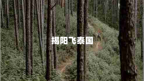 揭陽(yáng)飛泰國