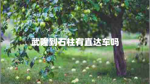 武隆到石柱有直達車(chē)嗎 武隆到石柱有直達車(chē)嗎