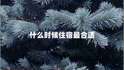 什么時(shí)候住宿最合適