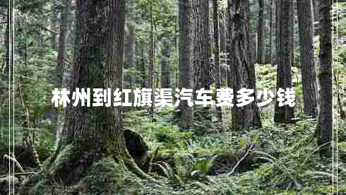 林州到紅旗渠汽車(chē)費多少錢(qián)