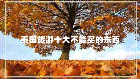 泰國旅游十大不能買(mǎi)的東西