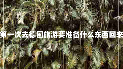 第一次去德國旅游要準備什么東西回來(lái)