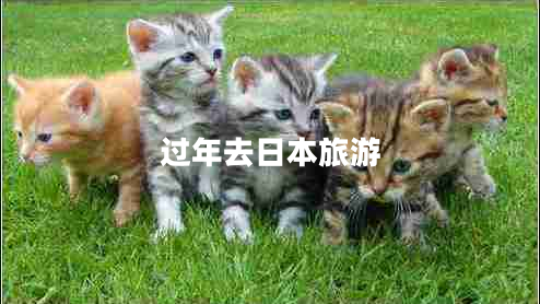 過(guò)年去日本旅游