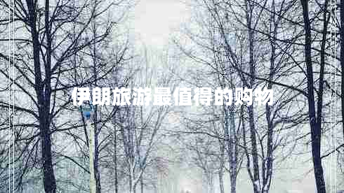 伊朗旅游最值得的購物