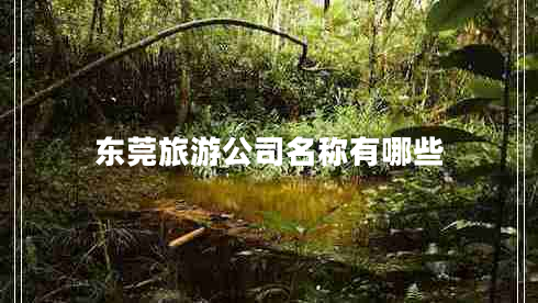 東莞旅游公司名稱(chēng)有哪些