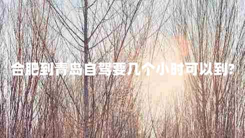 合肥到青島自駕要幾個(gè)小時(shí)可以到?