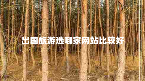 出國旅游選哪家網(wǎng)站比較好