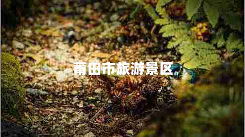 莆田市旅游景區