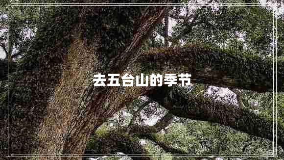 去五臺山的季節