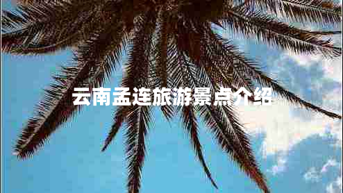 云南孟連旅游景點(diǎn)介紹 云南孟連旅游景點(diǎn)介紹