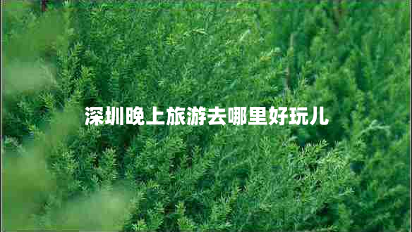 深圳晚上旅游去哪里好玩兒