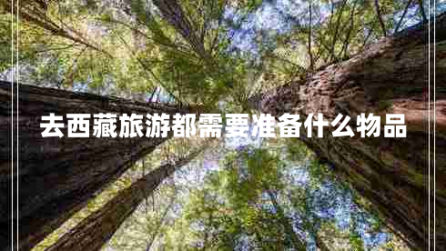 去西藏旅游都需要準備什么物品