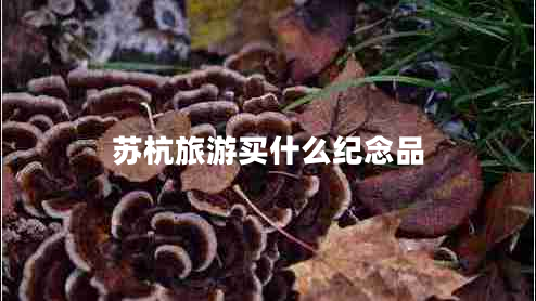 蘇杭旅游買(mǎi)什么紀念品